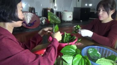 9 Şubat 2026. Chu Van An, Hai Phong, Vietnam. Betel yaprakları ve fındıklar. Kadın betel fındığı hazırlıyor.