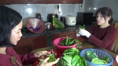 9 Şubat 2026. Chu Van An, Hai Phong, Vietnam. Betel yaprakları ve fındıklar. Kadın betel fındığı hazırlıyor.