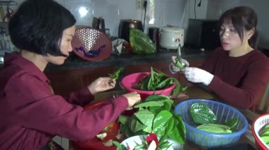 9 Şubat 2026. Chu Van An, Hai Phong, Vietnam. Betel yaprakları ve fındıklar. Kadın betel fındığı hazırlıyor.