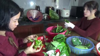 9 Şubat 2026. Chu Van An, Hai Phong, Vietnam. Betel yaprakları ve fındıklar. Kadın betel fındığı hazırlıyor.