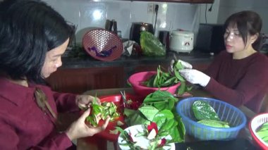 9 Şubat 2026. Chu Van An, Hai Phong, Vietnam. Betel yaprakları ve fındıklar. Kadın betel fındığı hazırlıyor.