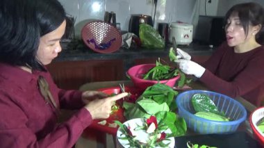 9 Şubat 2026. Chu Van An, Hai Phong, Vietnam. Betel yaprakları ve fındıklar. Kadın betel fındığı hazırlıyor.