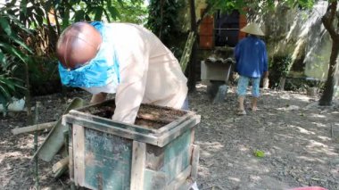 Arılar petek üzerinde. Arıcılık adam yavaşça bal tarak sınamak için