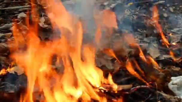 Oheň a kouř — Stock video