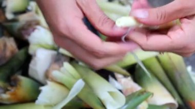 bambu sürgünleri beslemek için işlenmesi