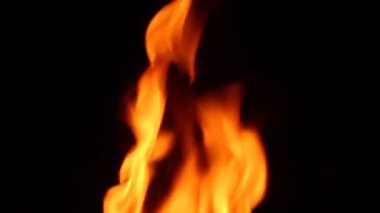 Doğada yanan ateşi