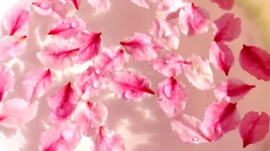 su, şeftali yaprakları