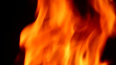 Doğada yanan ateşi