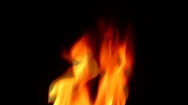 Doğada yanan ateşi