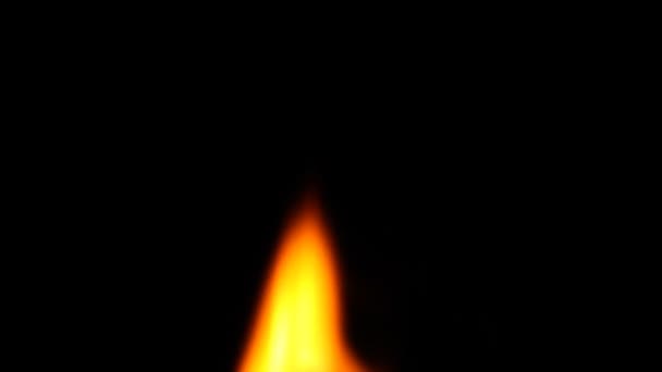 Fuoco ardente in natura — Video Stock