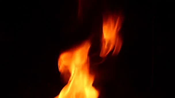 自然の中の燃える火 — ストック動画