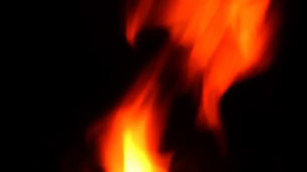 Fuoco ardente in natura — Video Stock