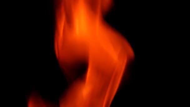 在大自然中燃烧的火 — 图库视频影像