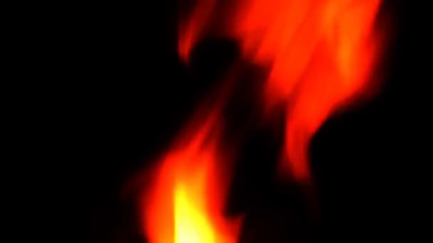 Fuoco ardente in natura — Video Stock