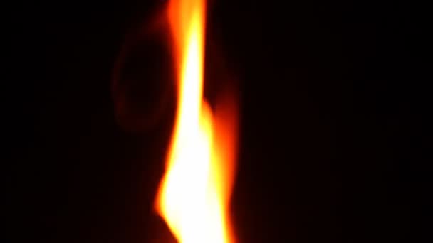 Feuer brennt in der Natur — Stockvideo