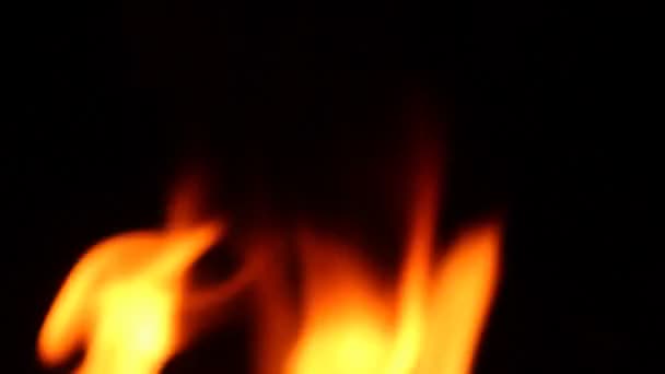 Feuer brennt in der Natur — Stockvideo