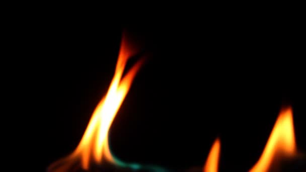 Fuego ardiendo en la naturaleza — Vídeos de Stock