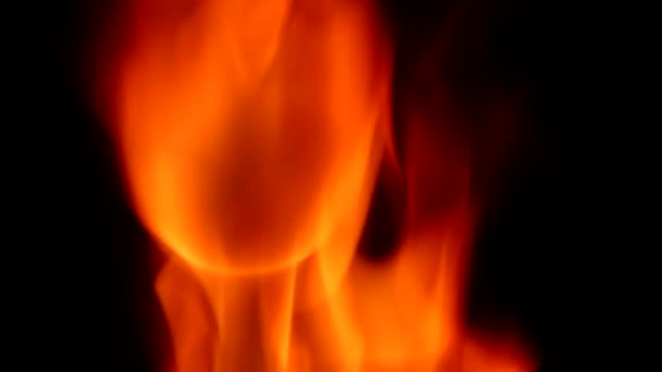 Brûlage du feu dans la nature 