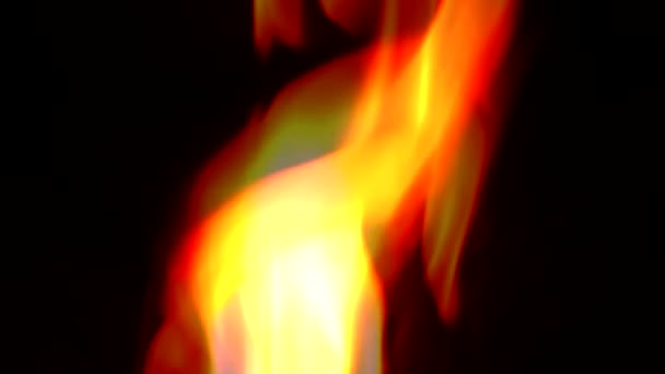 Brûlage du feu dans la nature 