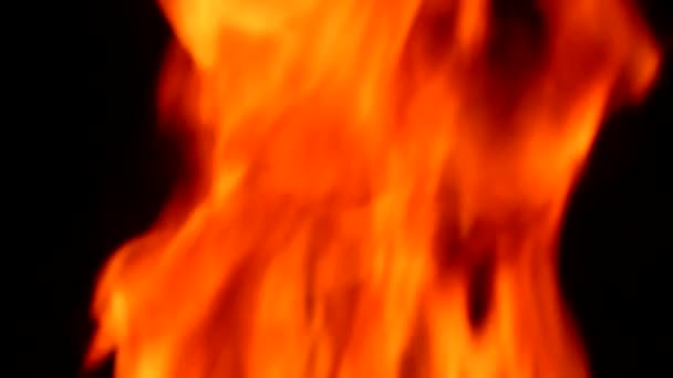 Brûlage du feu dans la nature 