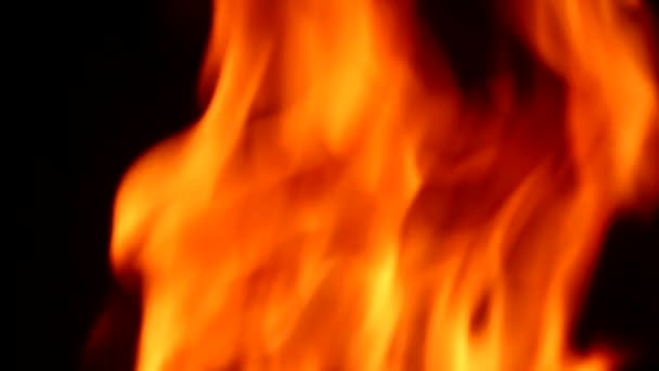 Brûlage du feu dans la nature 