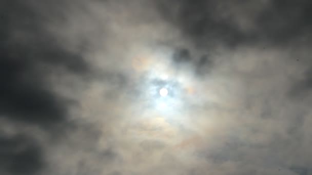  Le soleil brille 