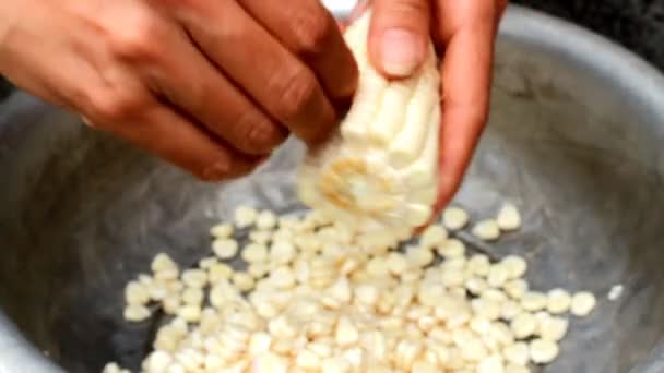 Fazer tortilhas de milho — Vídeo de Stock