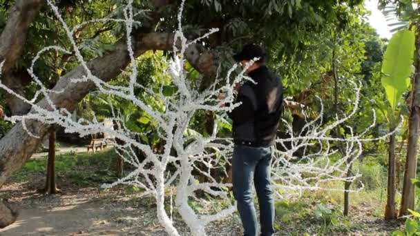 Asiatique gars peinture un arbre à neige — Video