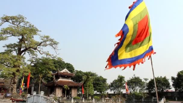 Festival de la bandera en Asia — Vídeo de stock