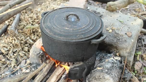 Le poulet bouillant — Video