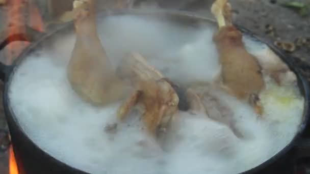 Kokande kyckling — Stockvideo