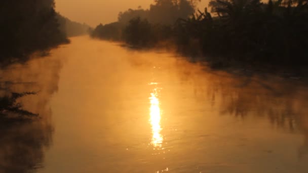 Il vapore sul fiume al mattino — Video Stock