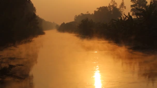 Пар на реке по утрам — стоковое видео