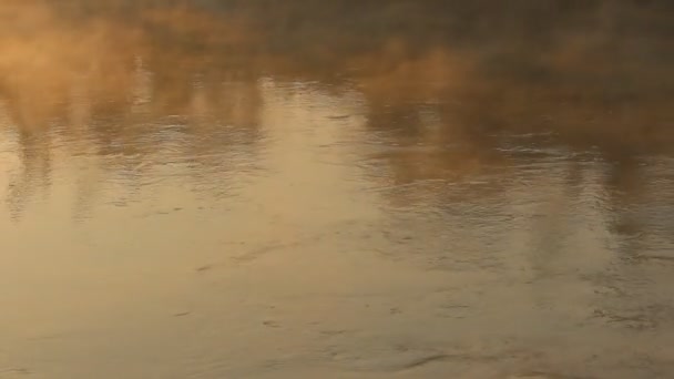 Ånga på floden på morgonen — Stockvideo