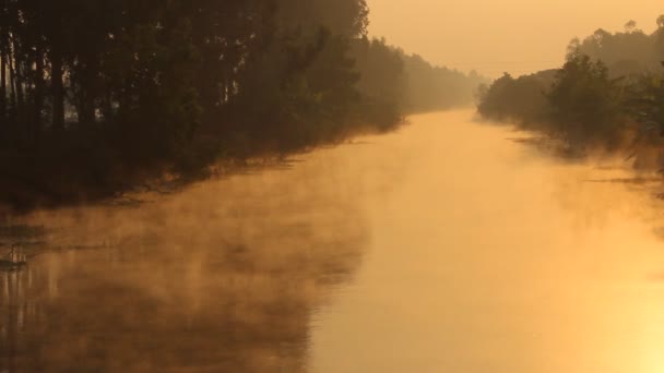 El vapor en el río por la mañana — Vídeos de Stock