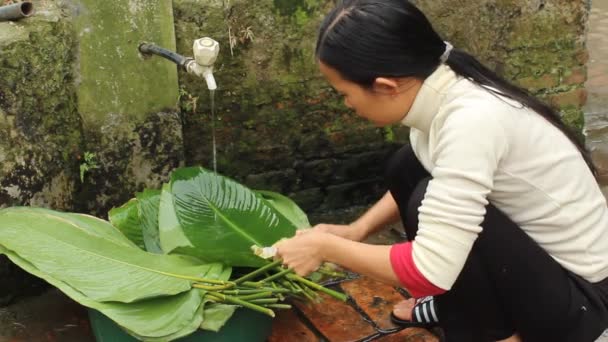 Asiático personas hacer arroz pasteles en nuevo yaer — Vídeos de Stock