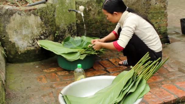 Asiático personas hacer arroz pasteles en nuevo yaer — Vídeos de Stock