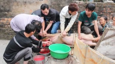 Grup Asyalı insanlar öldürmek domuz yemek için