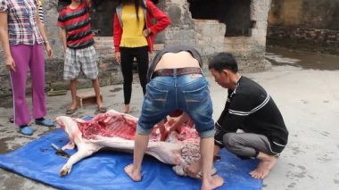 Grup Asyalı insanlar öldürmek domuz yemek için