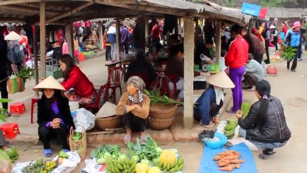 Trou asiatique sur le marché rural — Video
