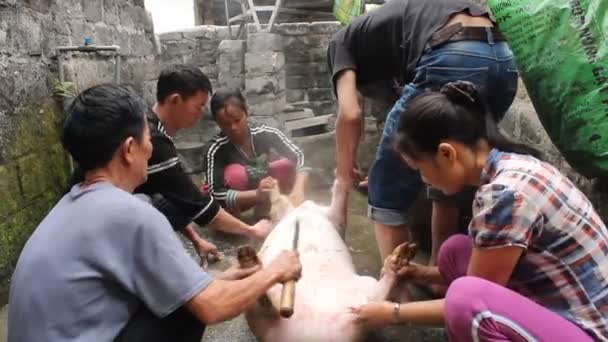 Група азіатських людей вбиває свиню за їжу — стокове відео