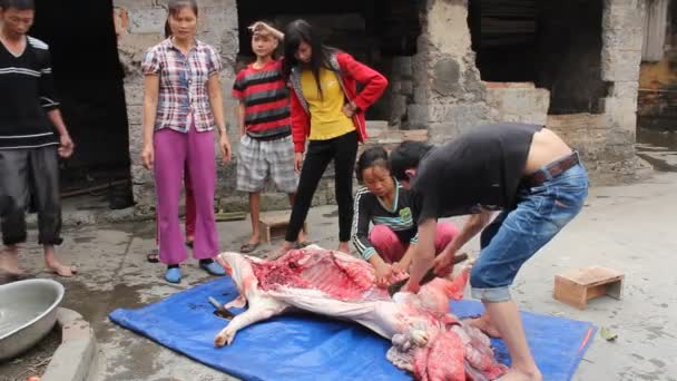 Csoport-ázsiai emberek ölni sertés, élelmiszer — Stock videók