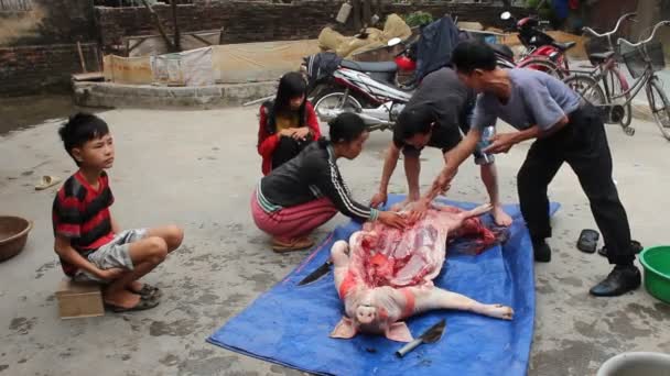 Група азіатських людей вбиває свиню за їжу — стокове відео