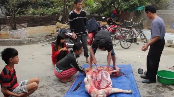 Groep van Aziatische mensen doden varkens voor voedsel — Stockvideo