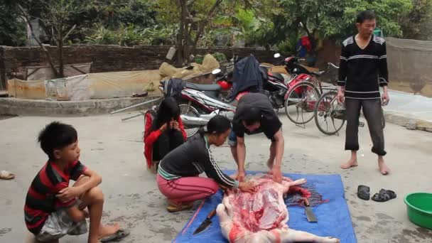 Grup Asyalı insanlar öldürmek domuz yemek için — Stok video