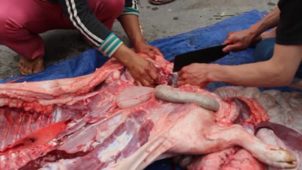Grupo de personas asiáticas matan cerdo por comida — Vídeo de stock