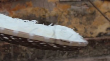 Beyaz turp kurutma