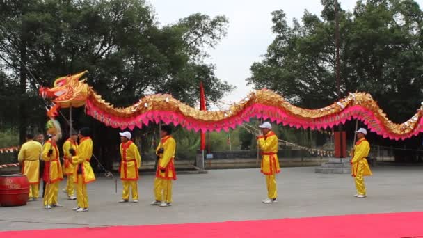 Un gruppo di asiatici danza drago in feste popolari — Video Stock