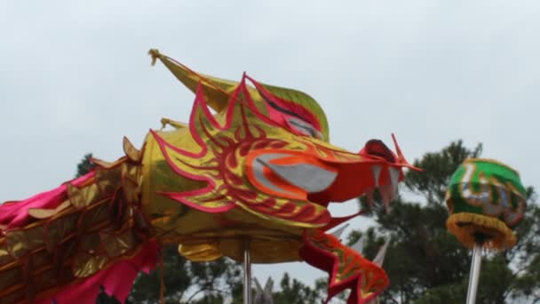 Dança do dragão em festivais folclóricos — Vídeo de Stock