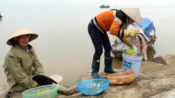 渔民卖鱼的海岸 — 图库视频影像